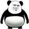 海星体育直播